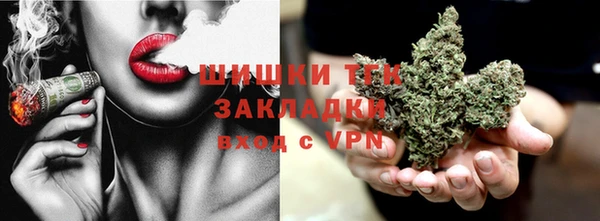 прущие грибы Липки