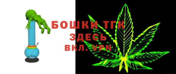 молекула духа Лихославль