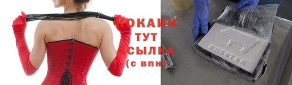 молекула духа Лихославль