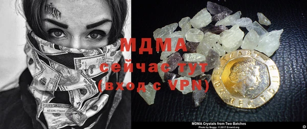 прущие грибы Липки