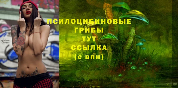 СК Магадан