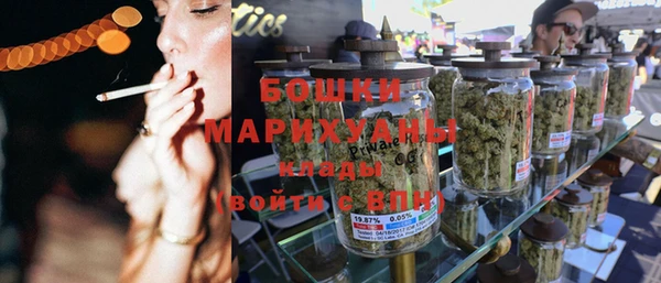 прущие грибы Липки
