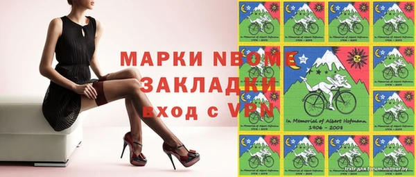 прущие грибы Липки