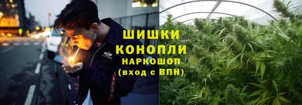 дживик Бугульма