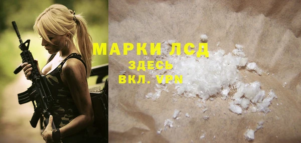 прущие грибы Липки