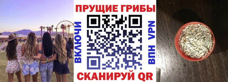 Псилоцибиновые грибы GOLDEN TEACHER  дарнет шоп  Павлово 