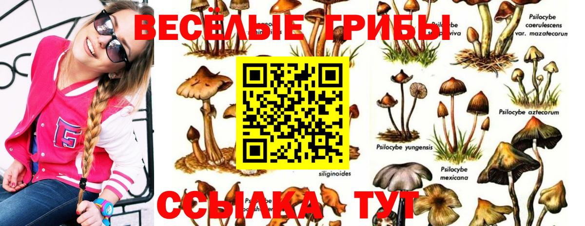 Галлюциногенные грибы прущие грибы Павлово