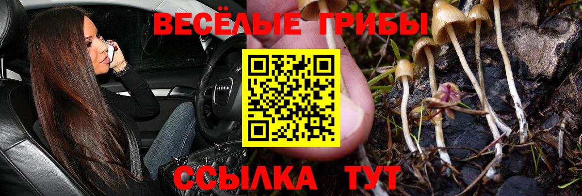 Галлюциногенные грибы Magic Shrooms  Вход с VPN  Галлюциногенные грибы мухоморы  Павлово 